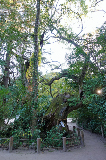image0015