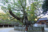 image0025