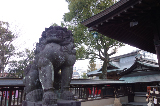 image0008