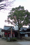 image0009