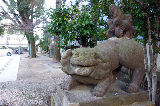 image0016