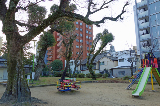 image0036