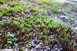 image0049