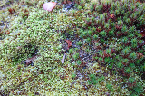 image0059