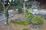 image0062