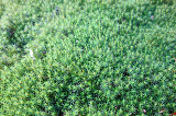image0074