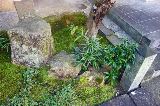 image0075