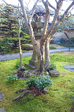 image0081