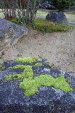image0125