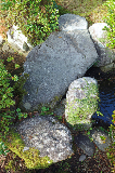 image0130