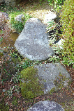 image0131