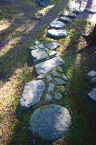 image0133