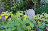 image0037