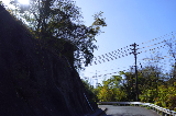 image0039