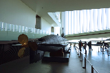 image0048