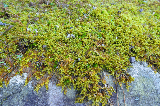 image0057