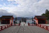 image0075