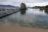 image0099