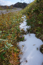 image0000