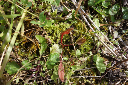 image0001