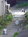 image0028
