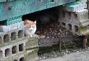image0029