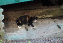 image0030