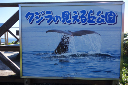 image0087