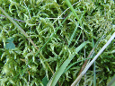 image0109