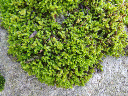 image0119