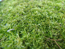 image0120