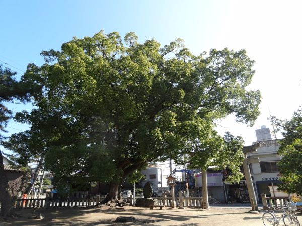 image0014