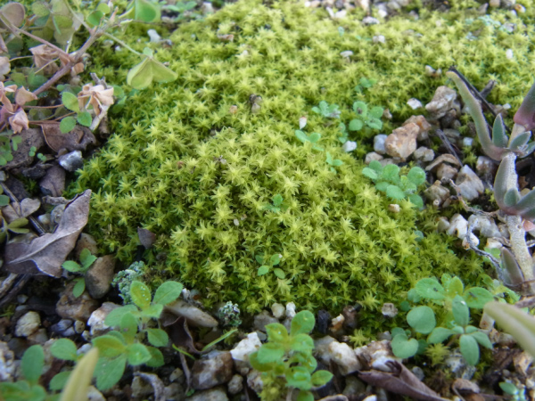 image0022