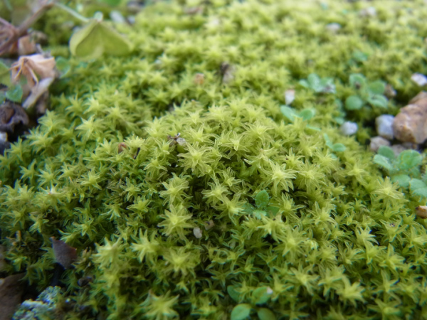 image0023