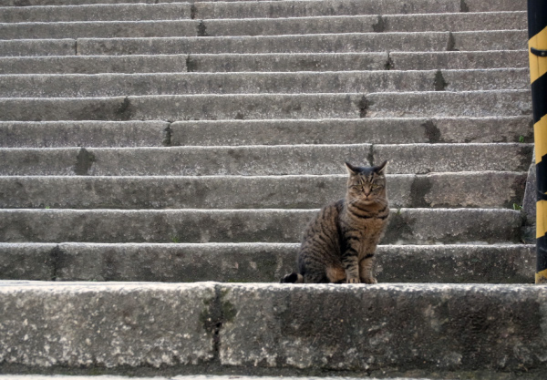 image0069