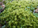 image0023
