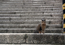 image0069