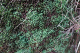 image0012