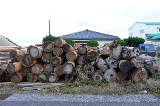 image0037