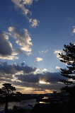 image0039