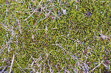 image0096