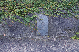 image0121