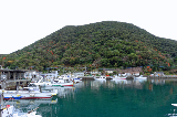 image0003