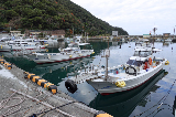 image0004