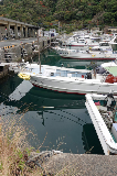 image0005