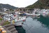image0006