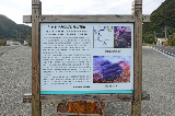 image0045