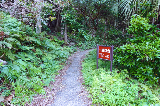 image0067