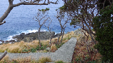 image0071
