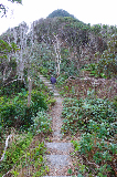 image0075